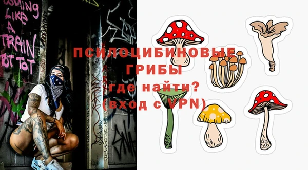 молекула духа Алексин