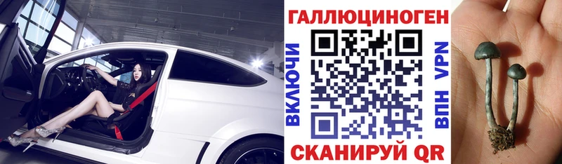 Галлюциногенные грибы ЛСД  Берёзовский 